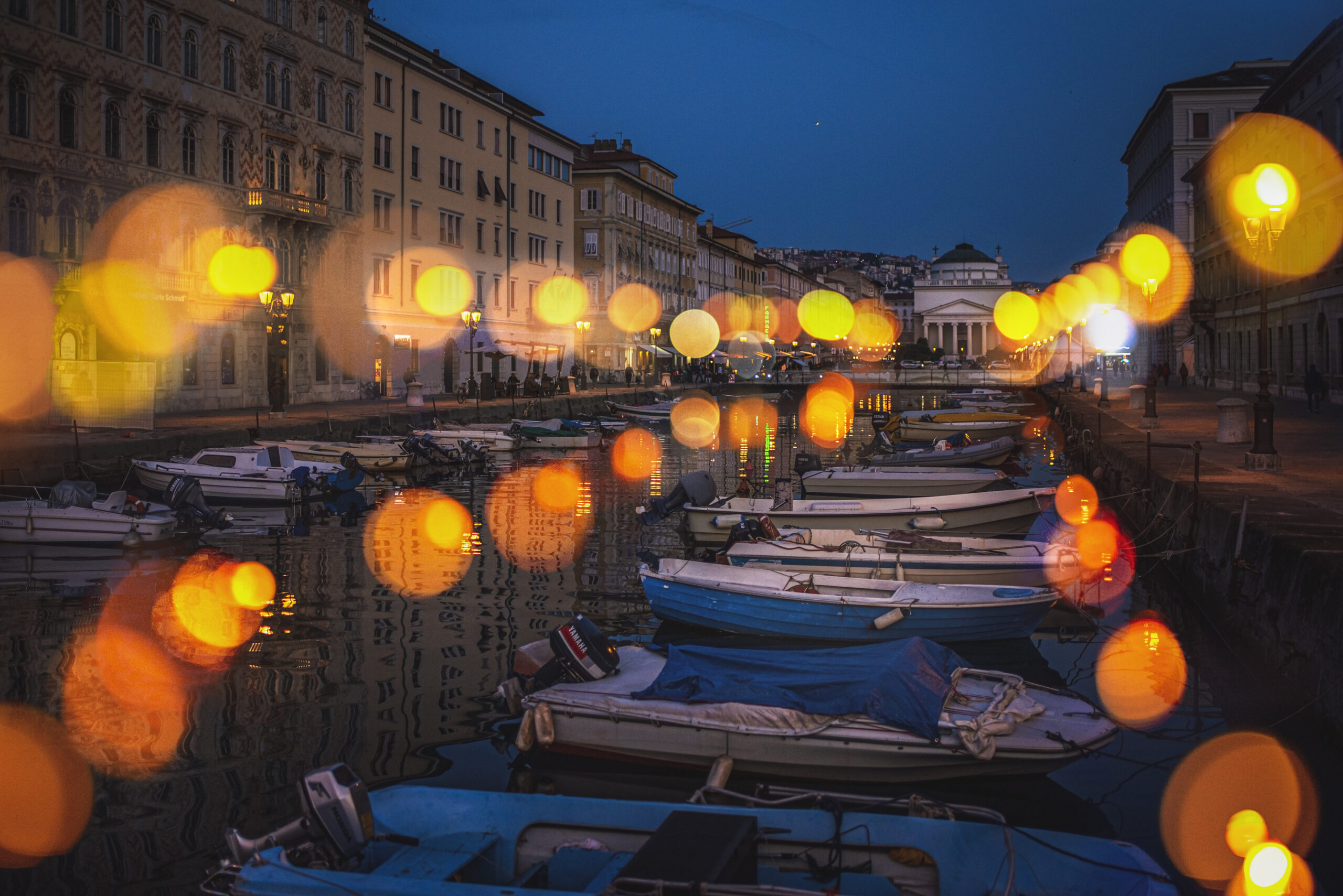 Fireflies Trieste