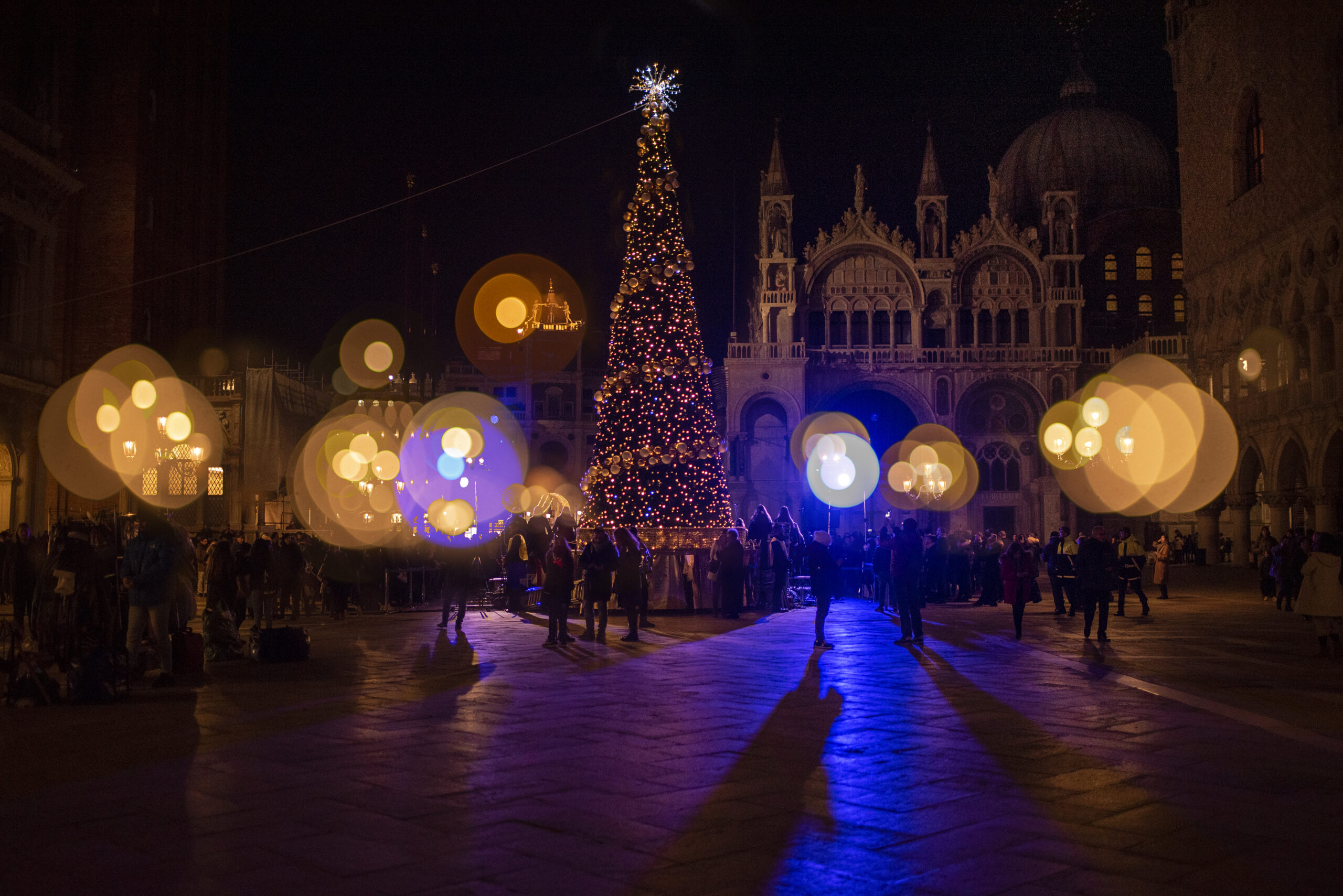 Fireflies Venezia